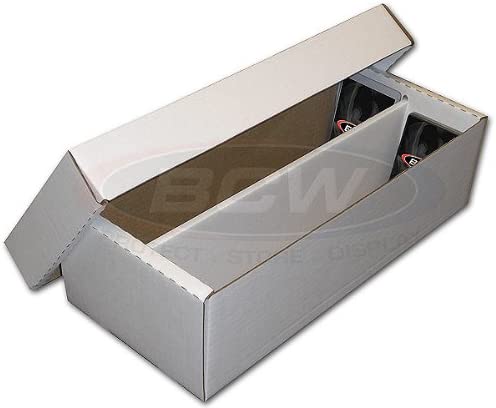 2 row shoe storage box | CCGPrime