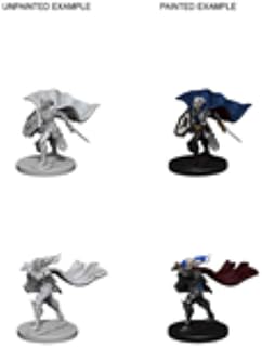 Pathfinder Deep Cuts Unpainted Miniatures: W4 Elf Female Paladin | CCGPrime