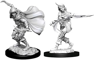 Pathfinder Deep Cuts Unpainted Miniatures: W14 Human Rogue Female | CCGPrime