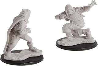 Pathfinder Deep Cuts Unpainted Miniatures: W1 Human Male Rogue | CCGPrime