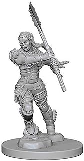 Pathfinder Deep Cuts Unpainted Miniatures: W1 Half-Orc Female Barbarian | CCGPrime