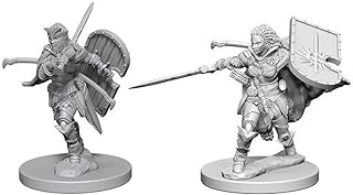 Pathfinder Deep Cuts Unpainted Miniatures: W1 Human Female Paladin | CCGPrime