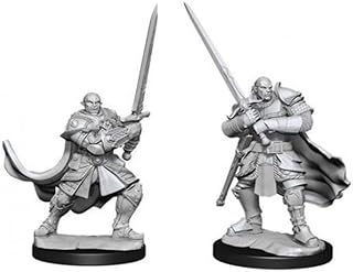 Dungeons & Dragons Nolzur`s Marvelous Unpainted Miniatures: W15 Half-Orc Paladin Male | CCGPrime