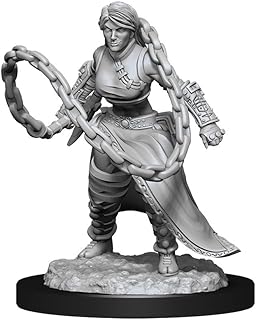 Nolzur's Wizkids Marvelous Miniatures - W14 Human Female Monk | CCGPrime