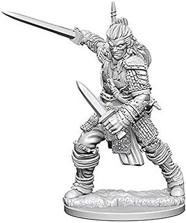 Pathfinder Deep Cuts Unpainted Miniatures: W1 Human Male Fighter | CCGPrime