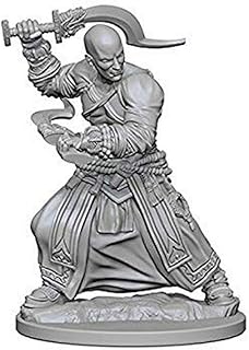 Pathfinder Deep Cuts Unpainted Miniatures: W1 Human Male Monk | CCGPrime