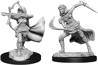 Dungeons & Dragons Nolzur`s Marvelous Unpainted Miniatures: W15 Air Genasi Female | CCGPrime