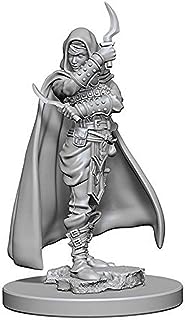 Pathfinder Deep Cuts Unpainted Miniatures: W1 Human Female Rogue | CCGPrime