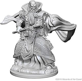 Dungeons & Dragons Nolzur`s Marvelous Unpainted Miniatures: W1 Human Male Wizard | CCGPrime