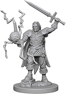 Pathfinder Deep Cuts Unpainted Miniatures: W1 Human Male Cleric | CCGPrime