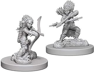 Pathfinder Deep Cuts Unpainted Miniatures: W6 Gnome Female Rogue | CCGPrime