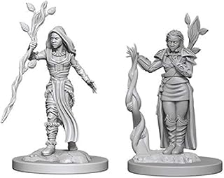 D&d Nolzur's Marvelous Miniatures - Human Female Druid | CCGPrime