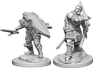 Dungeons & Dragons Nolzur`s Marvelous Unpainted Miniatures: W3 Human Male Paladin | CCGPrime