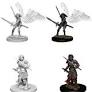 Dungeons & Dragons Nolzur`s Marvelous Unpainted Miniatures: W5 Aasimar Female Paladin | CCGPrime