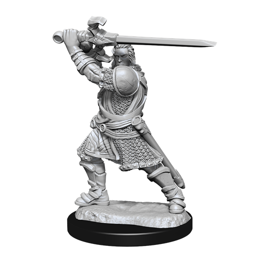 D&D Nolzur's Marvelous Unpainted Miniatures: W14 Human Paladin Male | CCGPrime