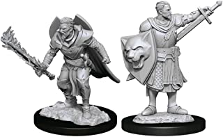 Pathfinder Deep Cuts Unpainted Miniatures: W14 Human Champion Male | CCGPrime