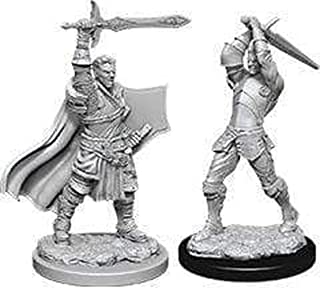 Dungeons & Dragons Nolzur`s Marvelous Unpainted Miniatures: W12 Male Human Paladin | CCGPrime